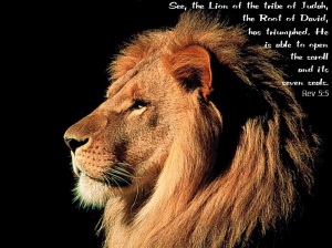 matthew_lion-of-judah